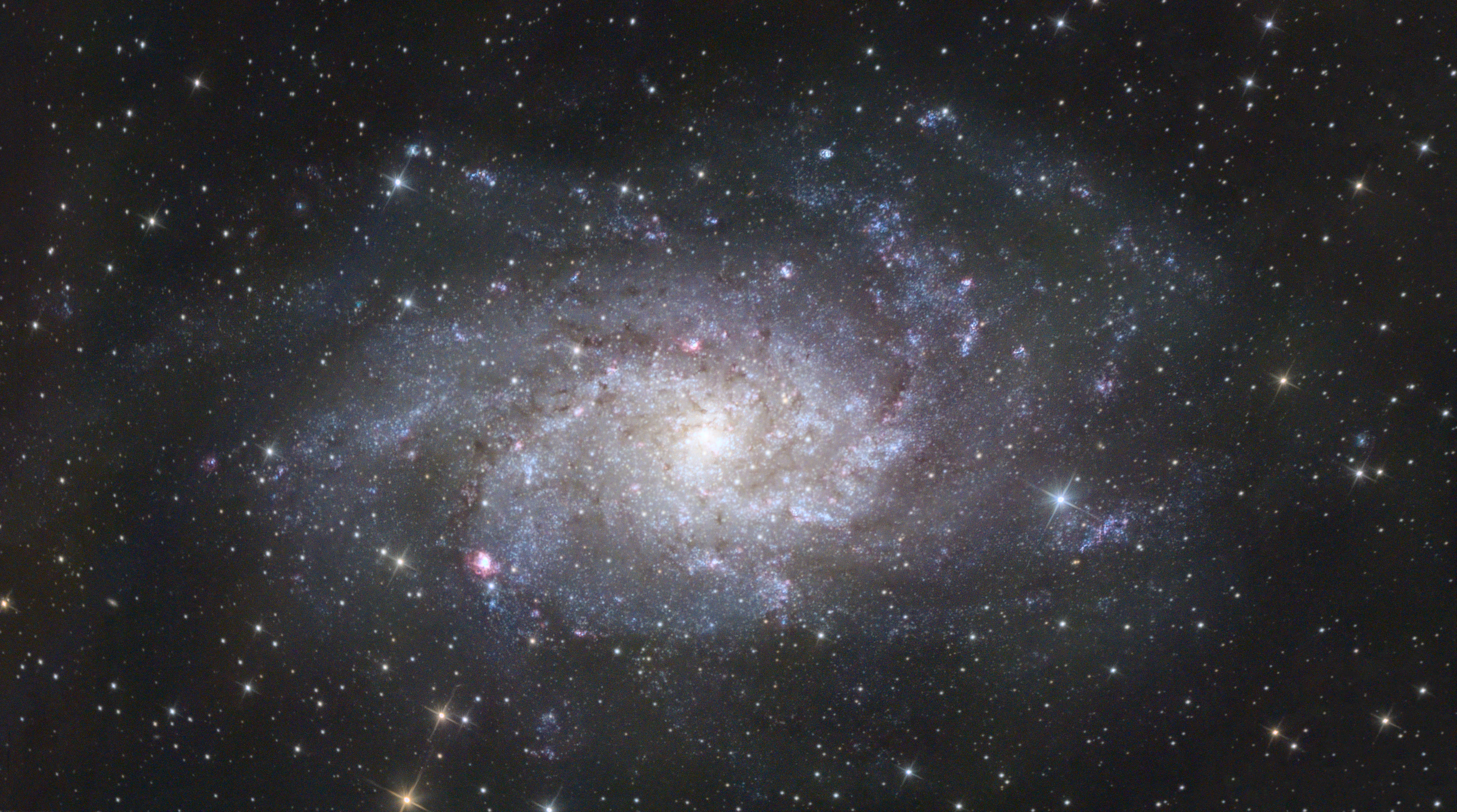 M33