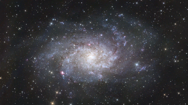 Featured image of post M33